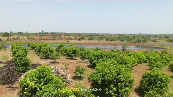 100 Acres Farmland in Humnabad