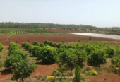 100 Acres Farmland in Humnabad