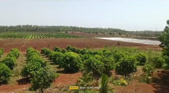 100 Acres Farmland in Humnabad