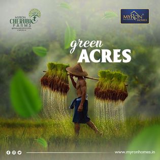 Best Farm Lands for Sale in Hyderabad | Cherubic Farmlands