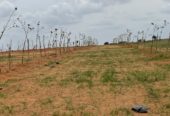 1Acre farm land for sale near hyderabad