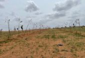 1Acre farm land for sale near hyderabad