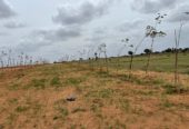 1Acre farm land for sale near hyderabad