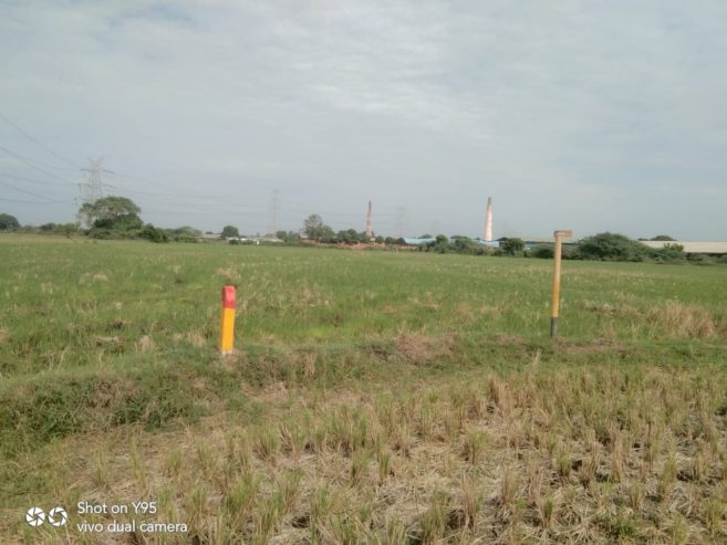 2 Acre Farmland For Sale Patta Land