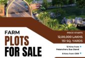 Beautiful farm land available with best price