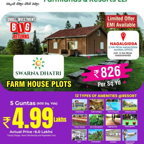 Farm land Plots