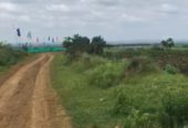 1 Acer Agriculture land for sale