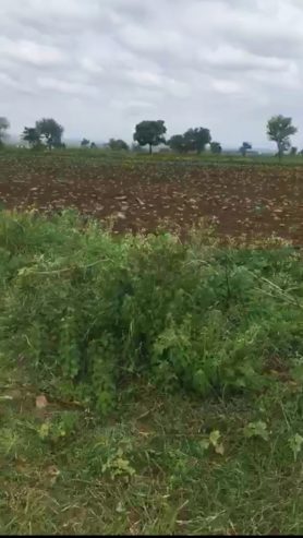 1 Acer Agriculture land for sale