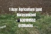 1 Acer Agriculture land for sale