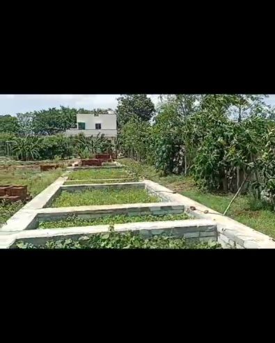 1 Acre FarmHouse for Sale at Kukinda Vikarabad