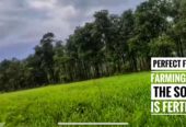 7078 sqft Farm Land Dehene Village Shahapur