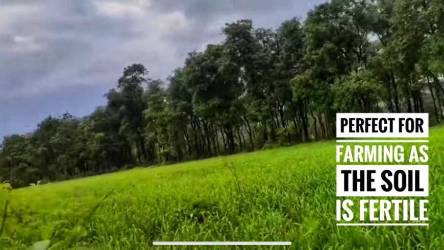 7078 sqft Farm Land Dehene Village Shahapur