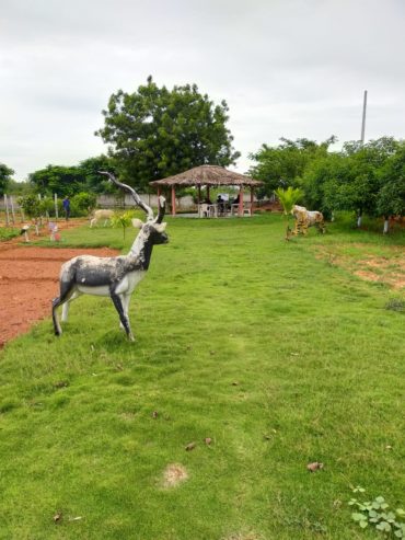 Farm Land Venture on SRISAILAM HIGHWAY