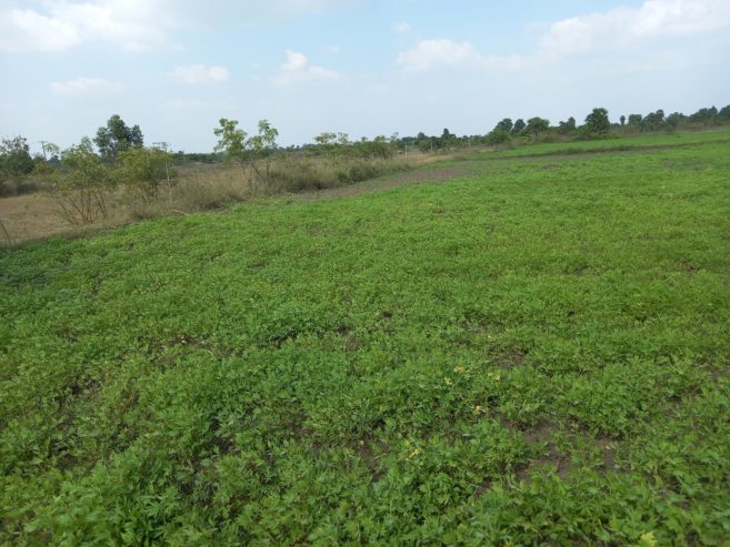 9 acres at Tindivanam