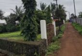 11 Gunta Agricultural Land in Goveli