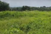 5 Acres Farmland