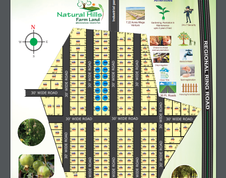 Natural Hills Farmland at Dandumailaram Industrial Park