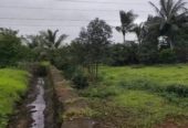 11 Gunta Agricultural Land in Goveli