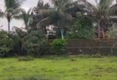 11 Gunta Agricultural Land in Goveli