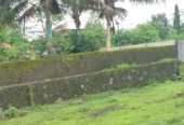 11 Gunta Agricultural Land in Goveli