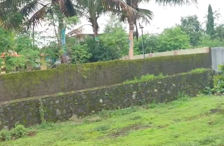 11 Gunta Agricultural Land in Goveli