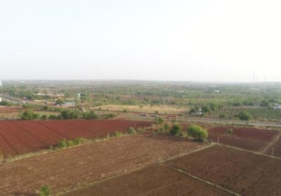 1 Acre farm land in Sangareddy