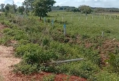 1 Acre Farm Land In Peddaumanthal