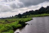 3.95 Acres Sakadhbhau Village