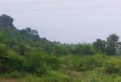 6 Acre Farmland in Ropar