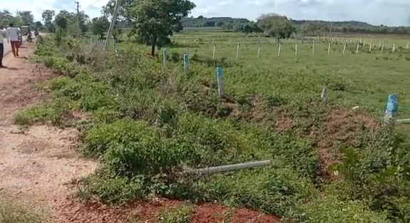 1 Acre Farm Land In Peddaumanthal