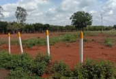 1 Acre Farm Land in Pudur, Bijapur highway