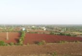 1 Acre farm land in Sangareddy