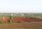 1 Acre farm land in Sangareddy