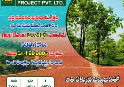 Navya Sai projects pvt ltd