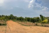 Residential Plots HMDA Shivanagar Patancheru