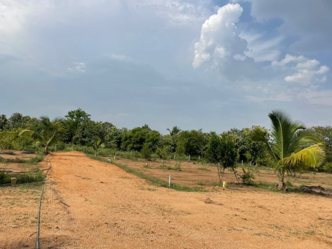 Residential Plots HMDA Shivanagar Patancheru