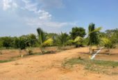 Residential Plots HMDA Shivanagar Patancheru