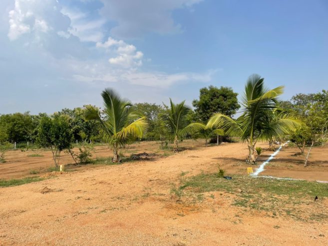 Residential Plots HMDA Shivanagar Patancheru