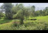 11 Acres R1 Zone in Pisarve Taloja