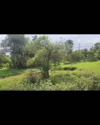 11 Acres R1 Zone in Pisarve Taloja