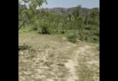 255 Acer Farmhouse Land in Ropar