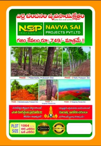 red sandel farmland total 108 acars naer by kavali