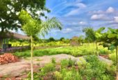 Farm Plot for Sale – Manneguda Medikonda, Vikharabad District!