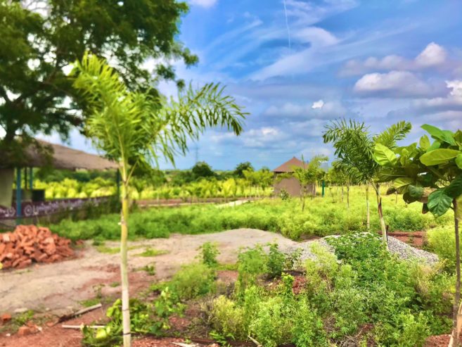 Farm Plot for Sale – Manneguda Medikonda, Vikharabad District!