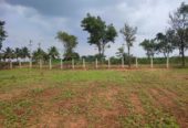 16 ACRE–6 GUNTAS(6534 Sqft) PLOT–88 PLOTS