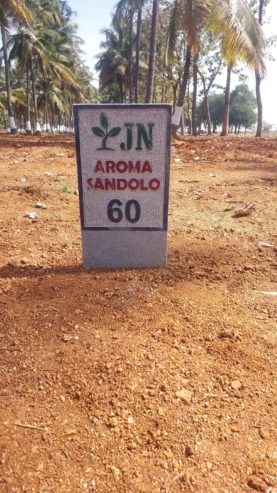 16 ACRE–6 GUNTAS(6534 Sqft) PLOT–88 PLOTS