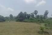 9 Acres in thondagi mandal yellayapeta