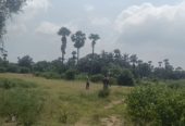 9 Acres in thondagi mandal yellayapeta