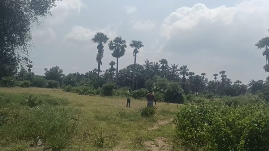 9 Acres in thondagi mandal yellayapeta