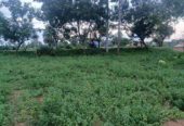 1 Acre 30 Sentlu  in thondagi mandal